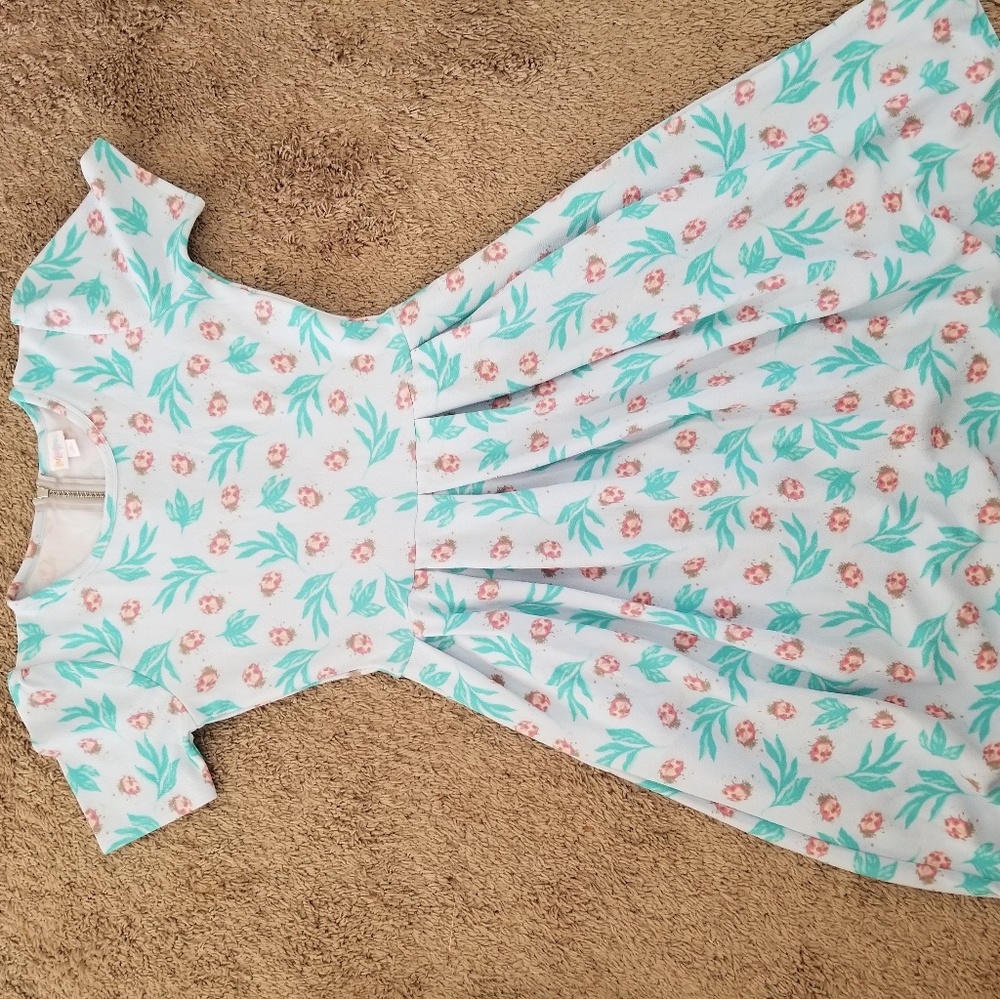 LuLaRoe Amelia Dress